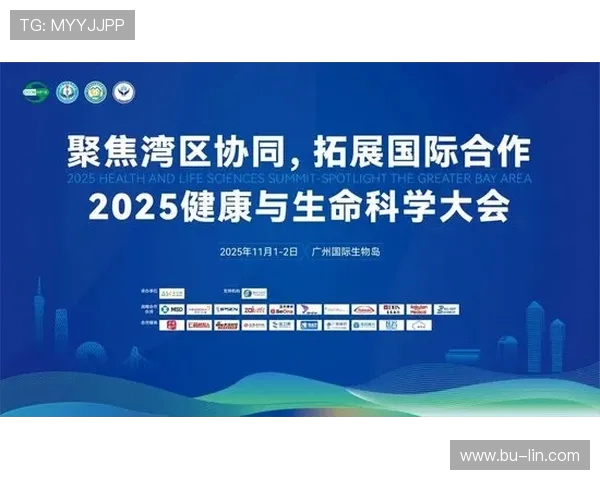 南京排球队防守革新之路探索与实践的深度剖析与启示