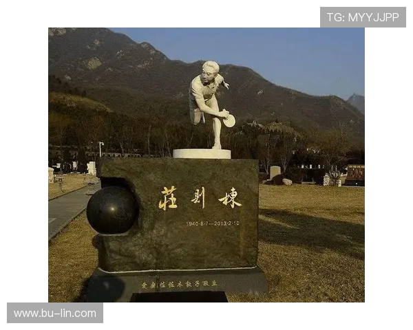 张磊的乒乓球人生探索与深度对话揭示运动背后的坚持与梦想